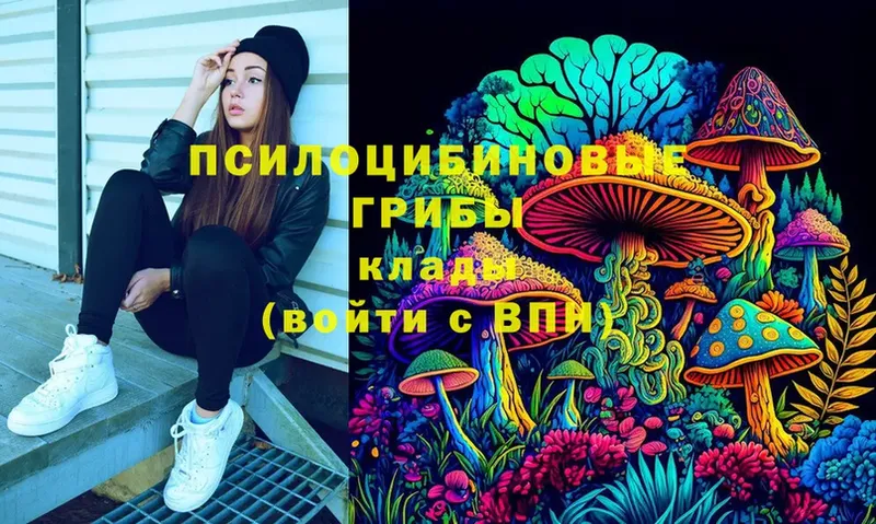 Псилоцибиновые грибы мицелий  Высоцк 